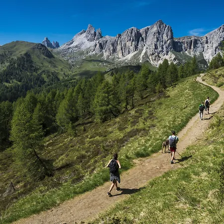 Fiori Dolomites Experience