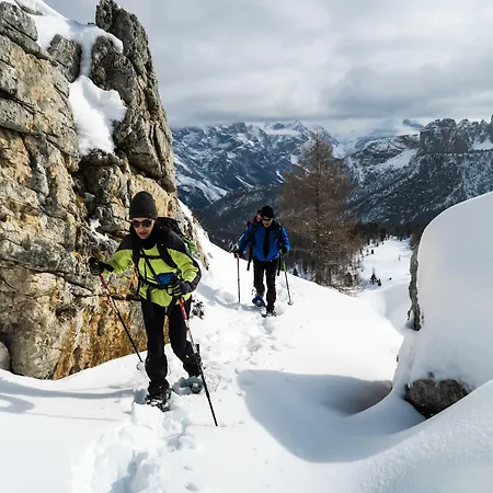 Fiori Dolomites Experience 3* San Vito di Cadore