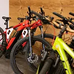 Fiori Dolomites Experience ホテル サン・ヴィート・ディ・カドーレ