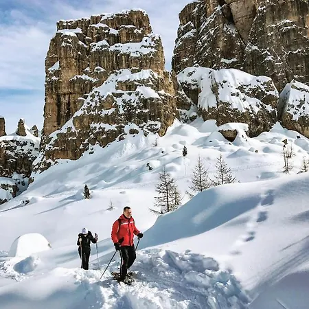 Fiori Dolomites Experience Hotel San Vito di Cadore