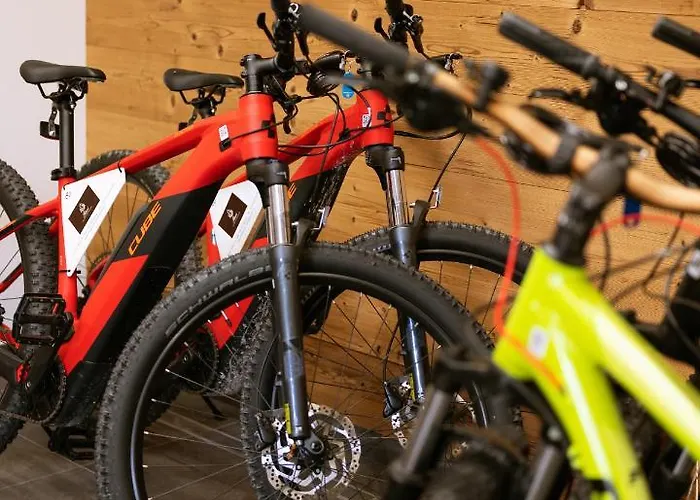 Fiori Dolomites Experience Otel San Vito di Cadore