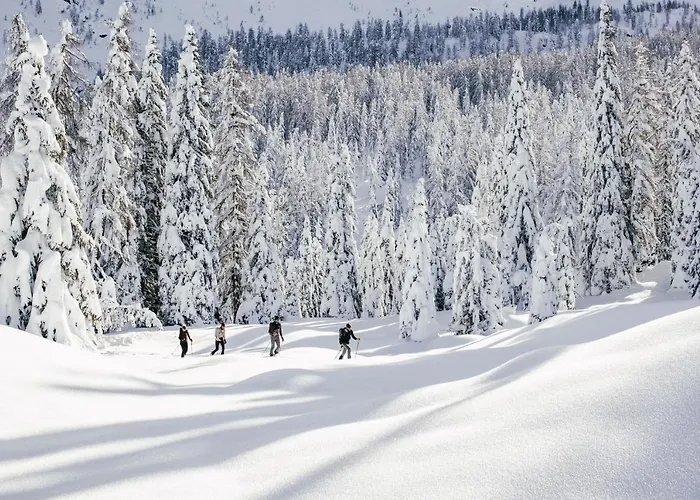 Otel Fiori Dolomites Experience 3*