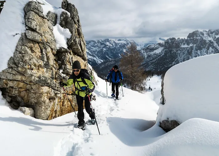Fiori Dolomites Experience 3* San Vito di Cadore